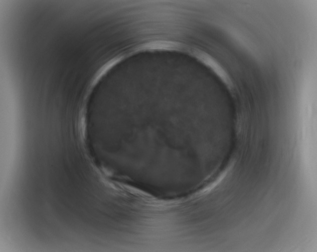 X0000113920829200910011510