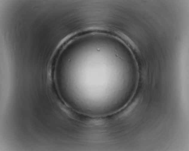 X0000113920830200910011510