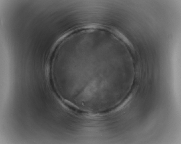 X0000113920831200910011510