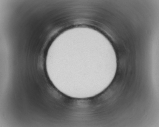 X0000113920832200910011510