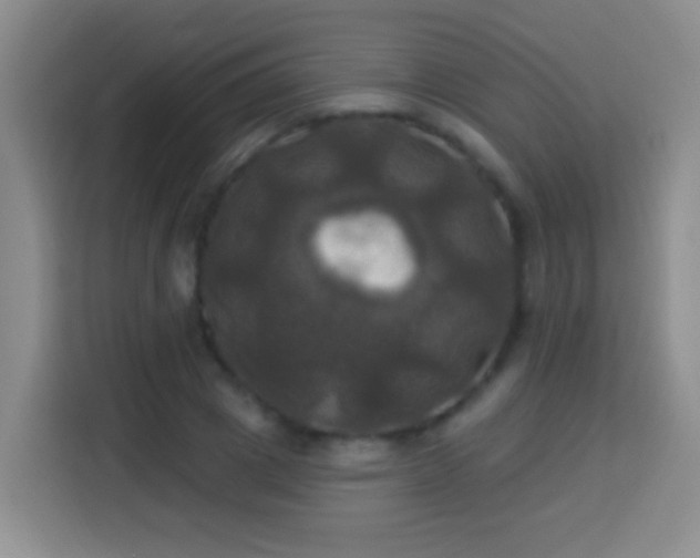 X0000113920833200910011510