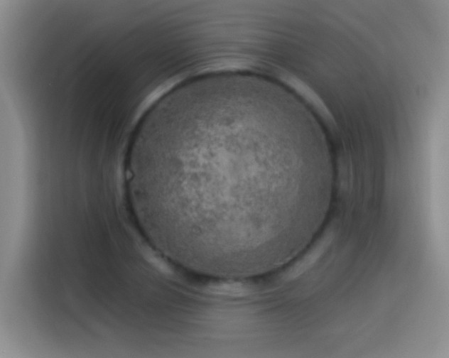 X0000113920834200910011510