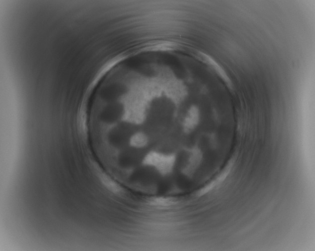 X0000113920835200910011510