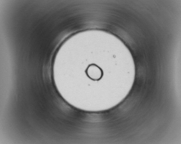 X0000113920836200910011510