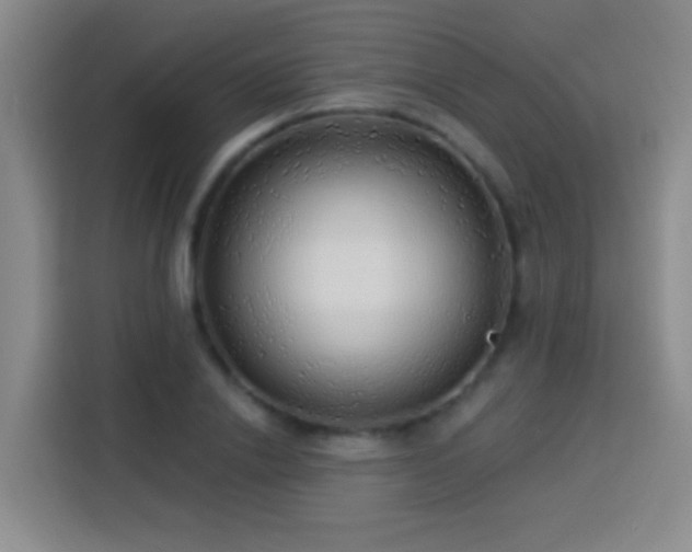 X0000113920838200910011510