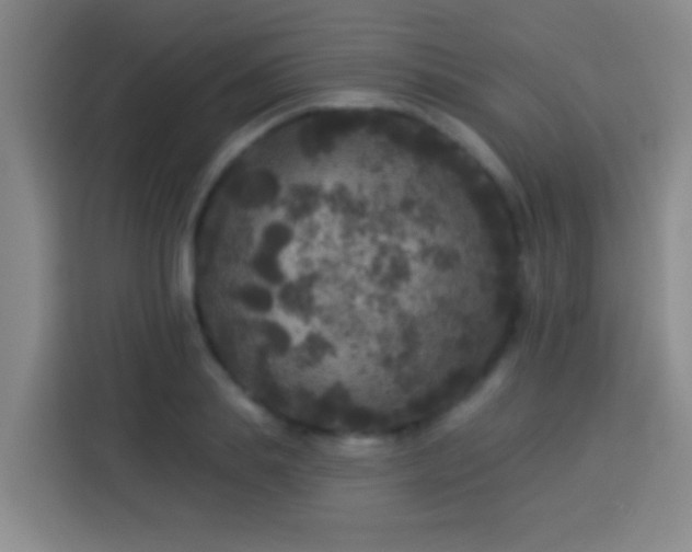 X0000113920839200910011510