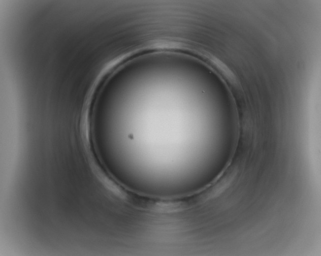 X0000113920840200910011510