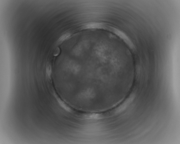 X0000113920841200910011510