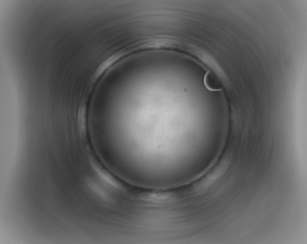 X0000113920842200910011510
