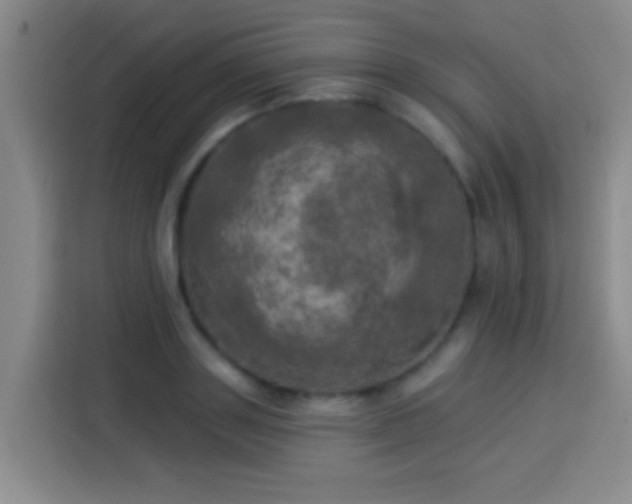 X0000113920843200910011510