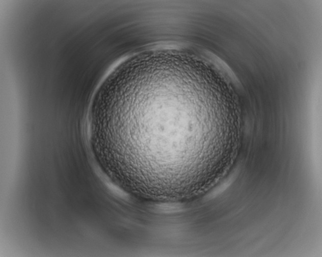 X0000113920844200910011510