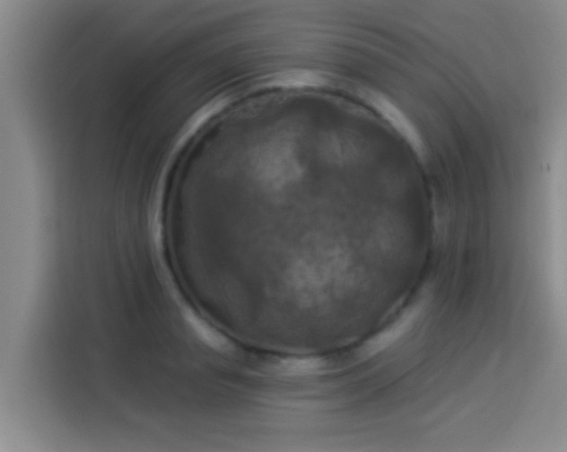 X0000113920845200910011510