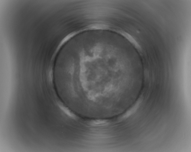 X0000113920846200910011510
