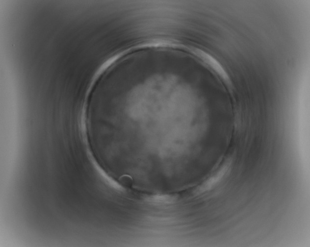 X0000113920847200910011510