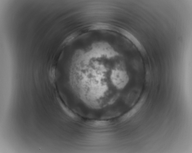 X0000113920849200910011510