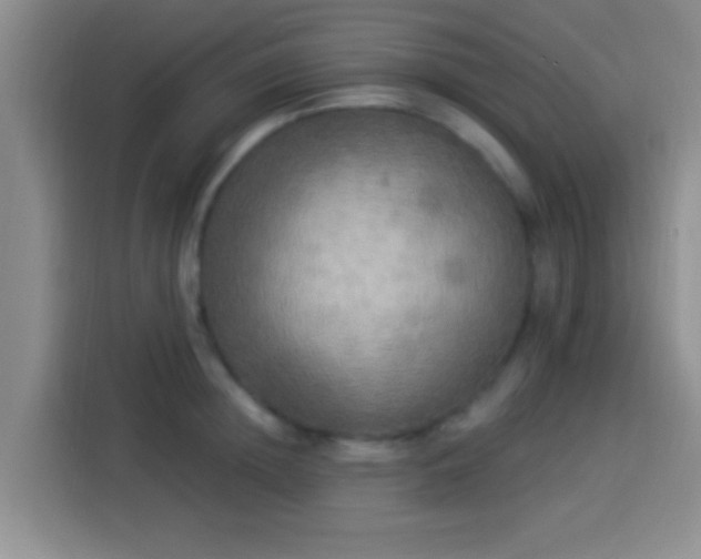 X0000113920852200910011510