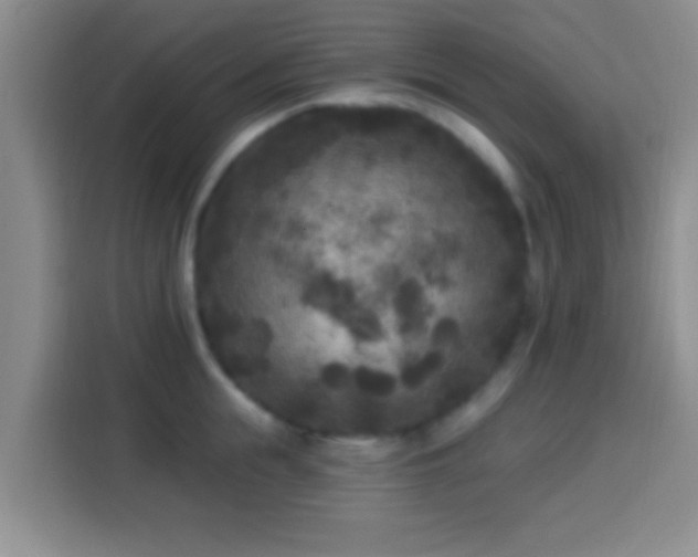 X0000113920855200910011510