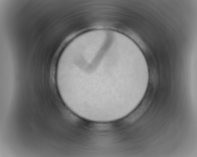 X0000113920856200910011510