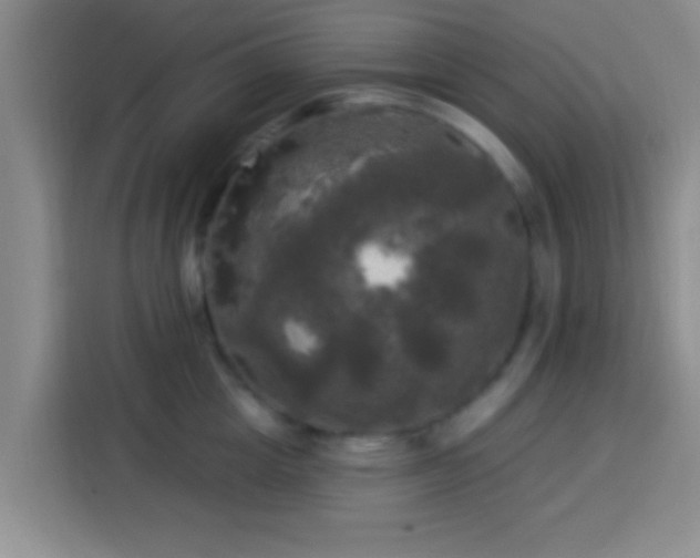 X0000113920857200910011510