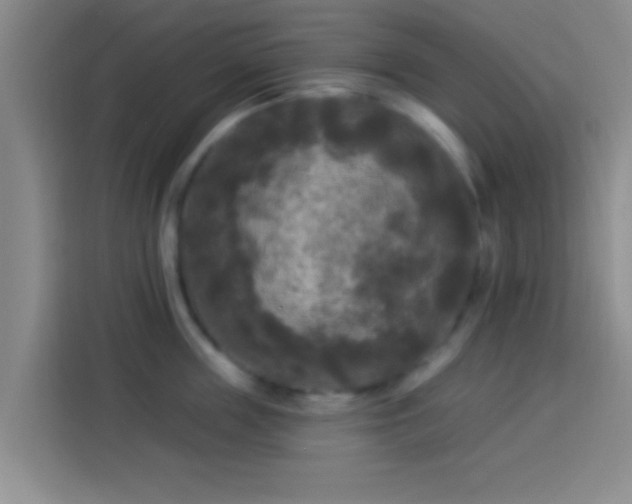 X0000113920859200910011511