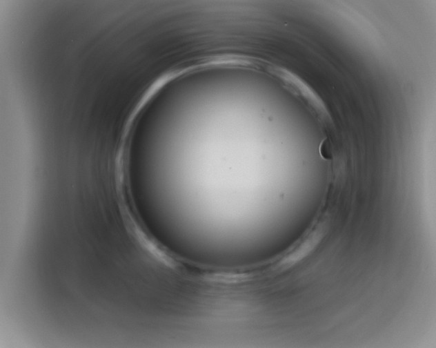 X0000113920860200910011511