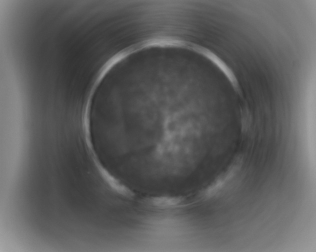 X0000113920861200910011511