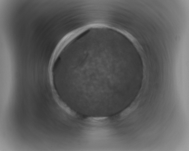 X0000113920864200910011511