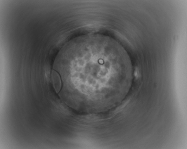 X0000113920867200910011510
