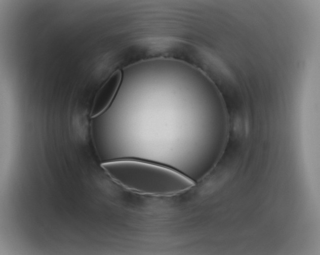 X0000113920868200910011510