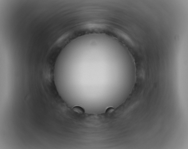 X0000113920869200910011510