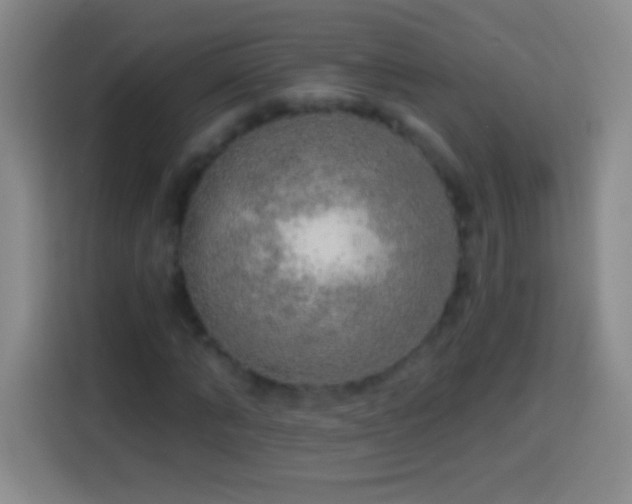 X0000113920870200910011510