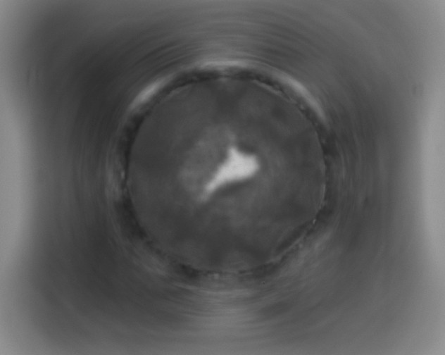 X0000113920871200910011510