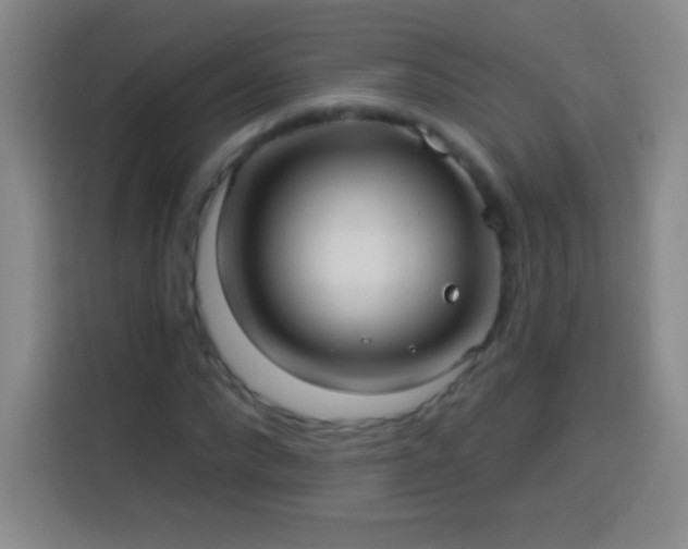 X0000113920872200910011510
