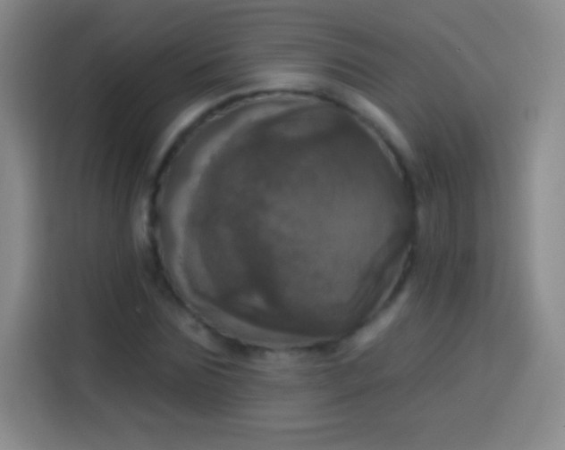X0000113920875200910011510