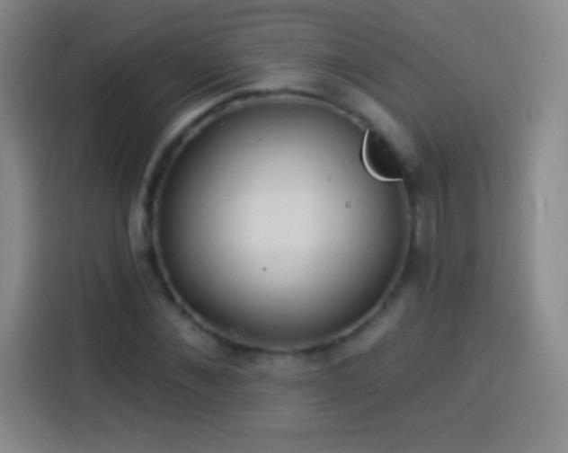 X0000113920876200910011510