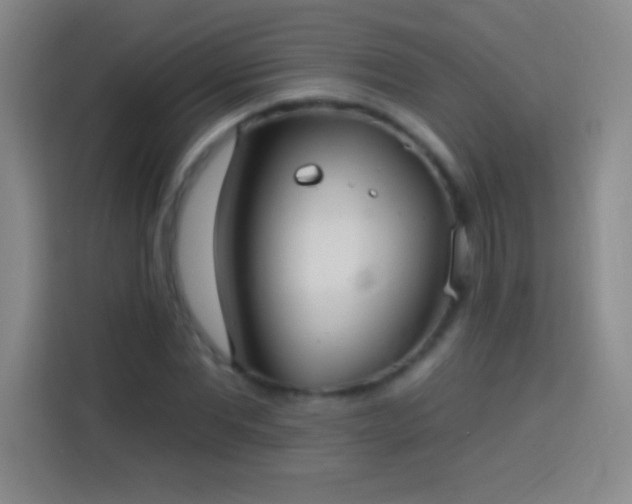X0000113920877200910011510