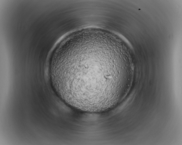 X0000113920878200910011510