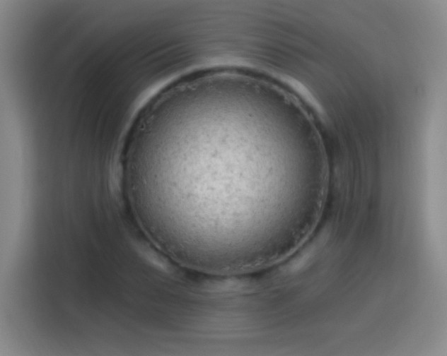 X0000113920879200910011510
