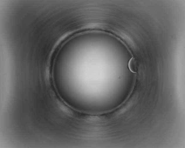 X0000113920880200910011510