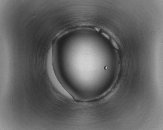 X0000113920881200910011510