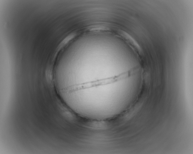 X0000113920882200910011510