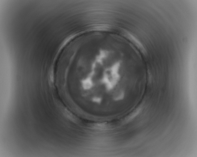 X0000113920883200910011510