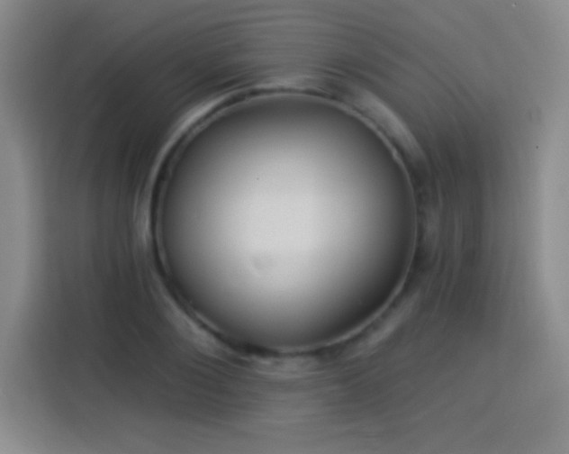 X0000113920884200910011510