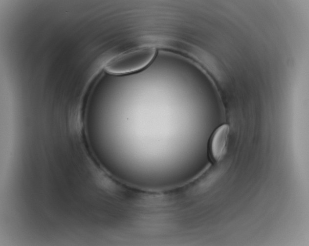 X0000113920885200910011510