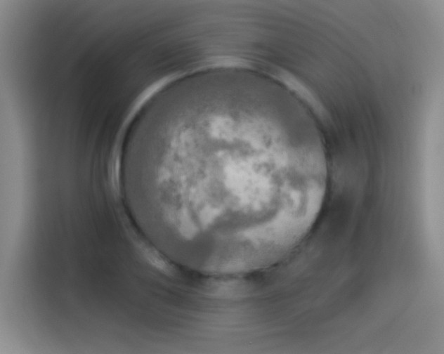X0000113920886200910011510