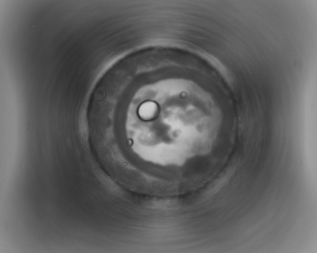 X0000113920887200910011510