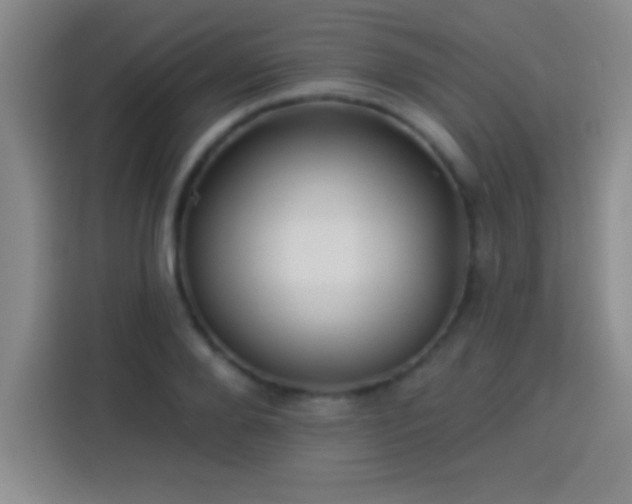 X0000113920888200910011510