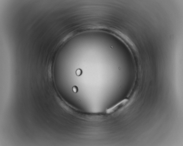 X0000113920889200910011510