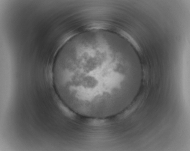 X0000113920890200910011510