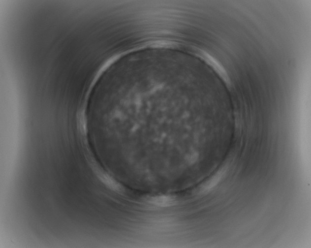 X0000113920891200910011510